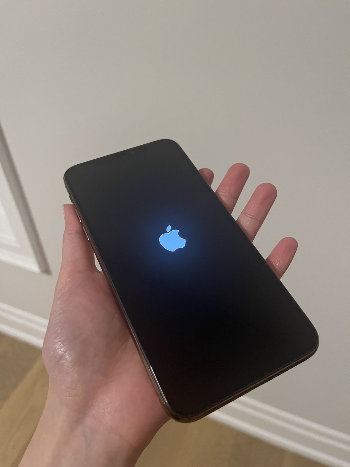 iPhone 11 Pro Max 256GB - photo 4