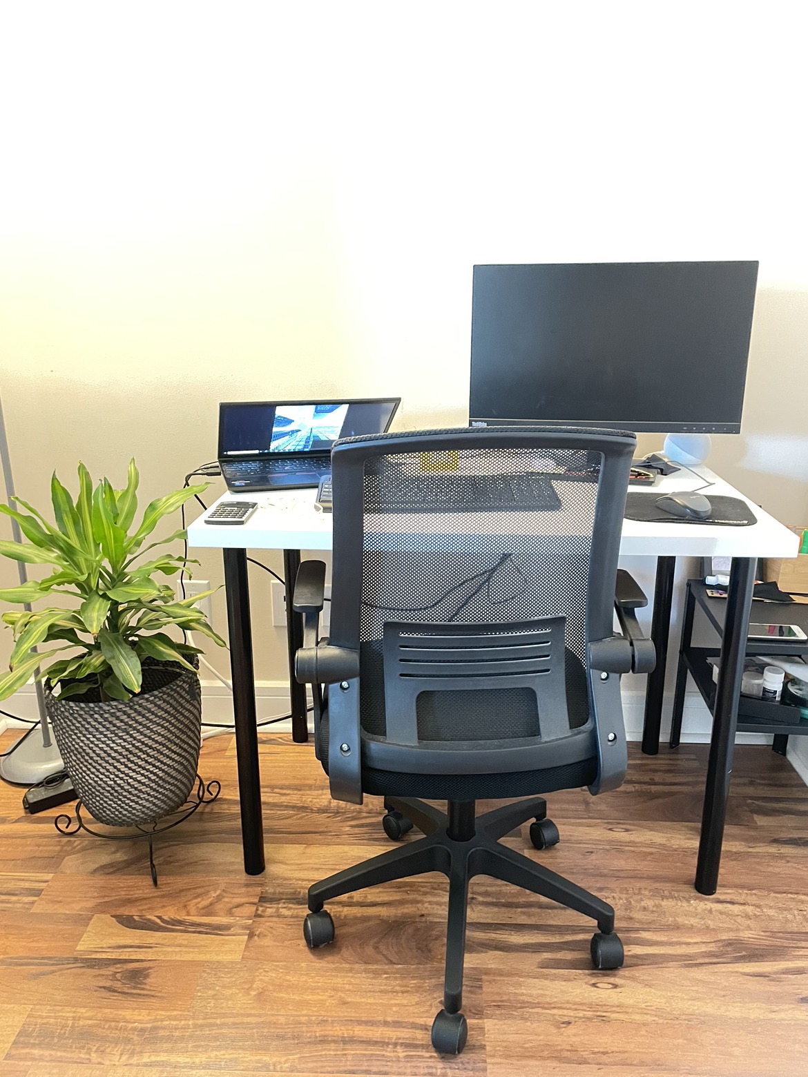 Chair only - ergonomics - photo 2