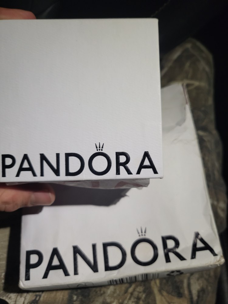 Pandora Wristband *No Charms* - photo 2