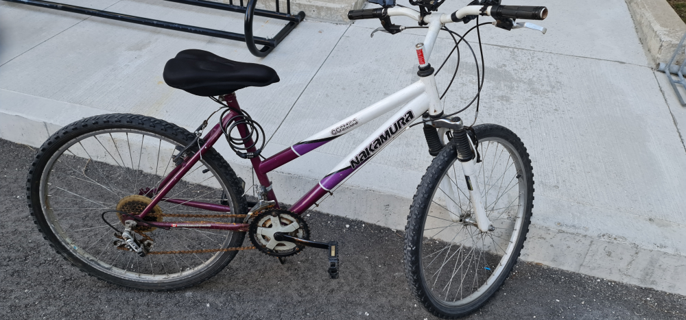 Adult Bicycle