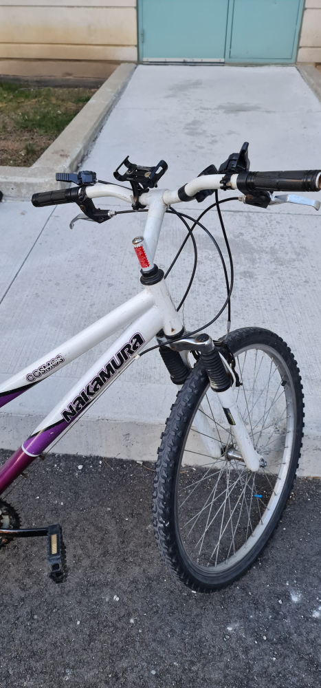 Adult Bicycle - photo 2