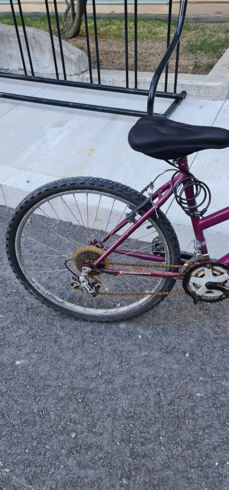 Adult Bicycle - photo 4