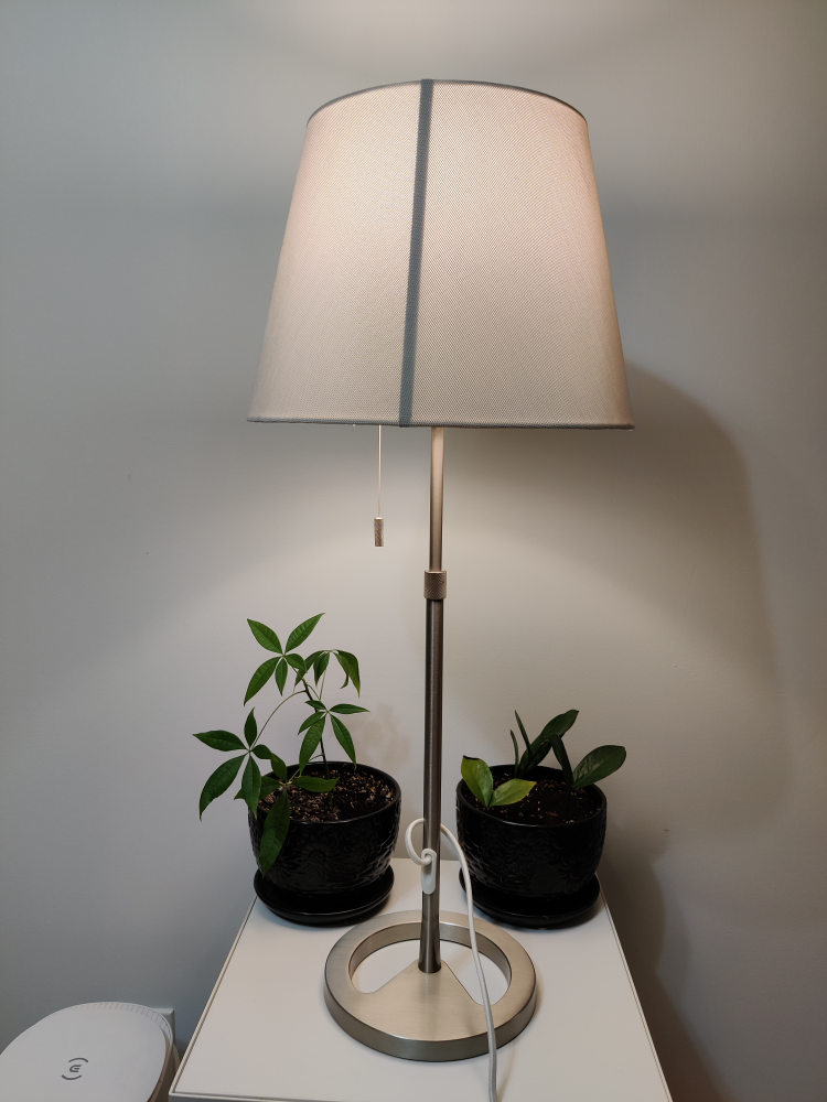 lamp