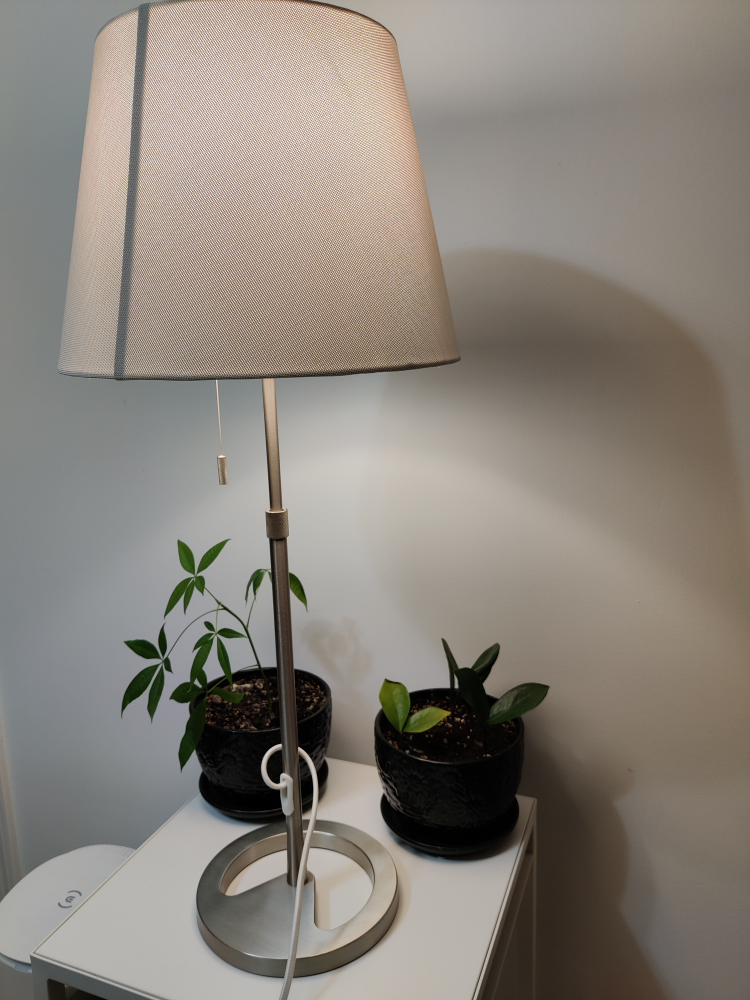 lamp - photo 2
