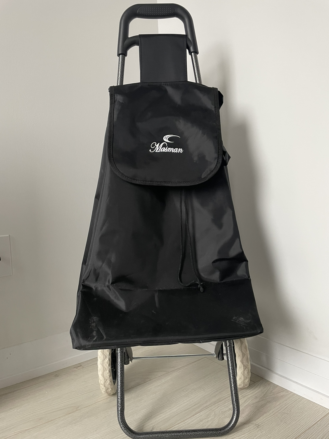 Shopping Grocery Cart