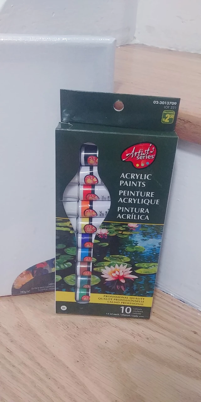 Small Canvas with Acrylic paints and brushes image indicator(3)