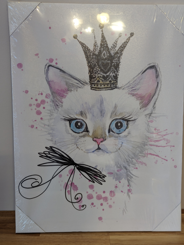 Princess Cat Picture