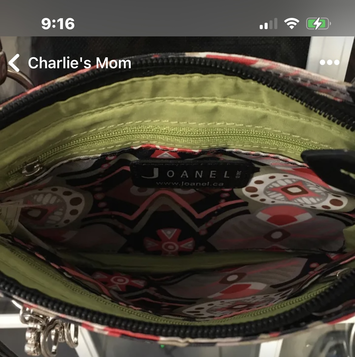 ✨✨Joanel Cross Body Bag image indicator(6)