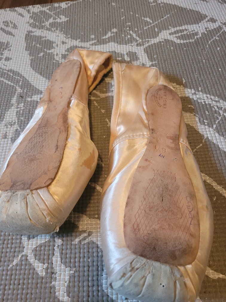 Heather Ogden  ballet points - photo 3