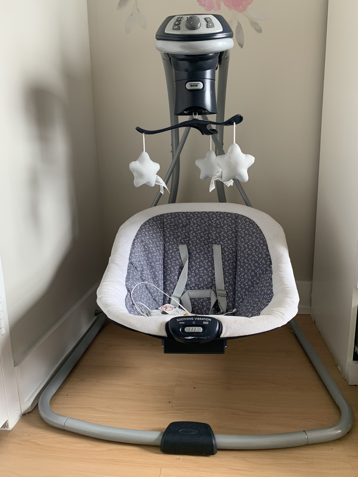 Graco Lx Swing with Multidirectional Seat