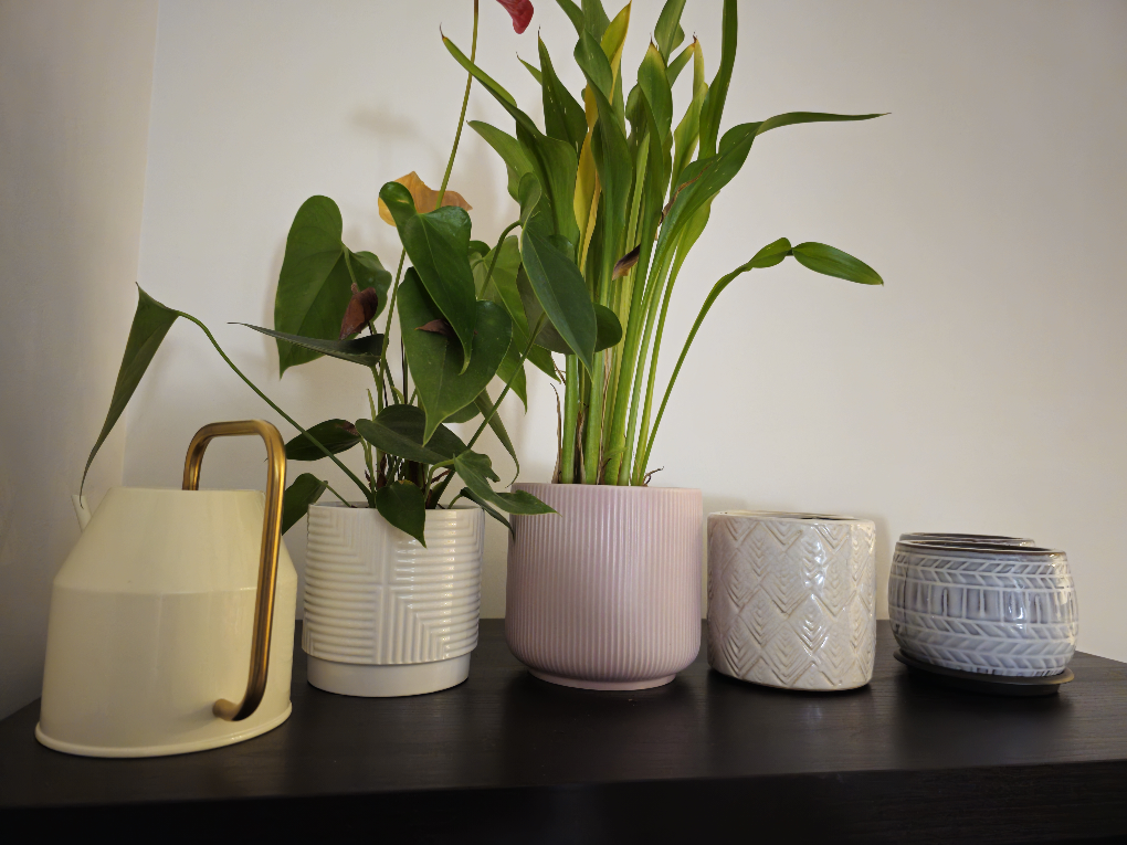 Watering Can and Flowerpots - photo 3
