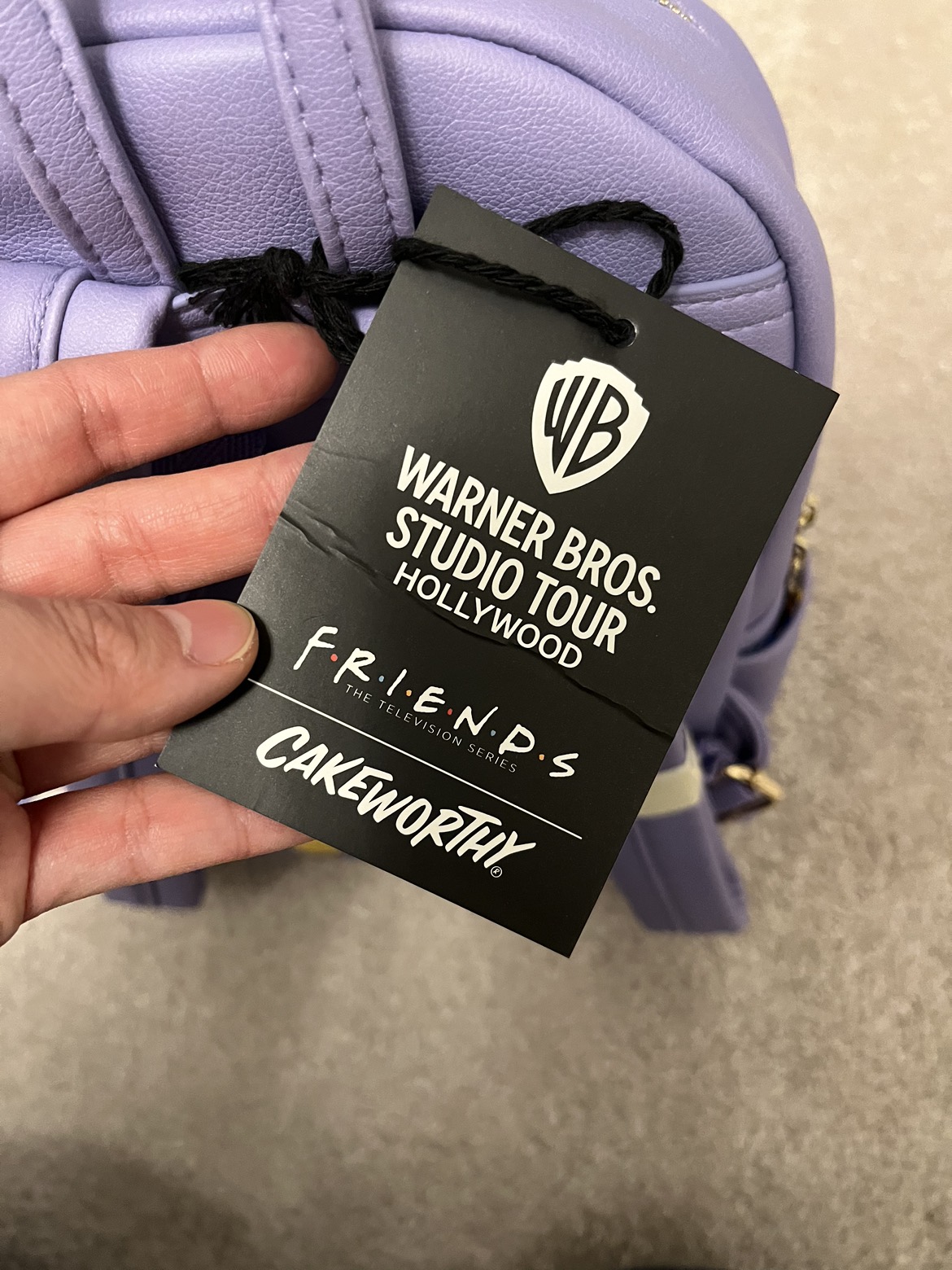 BNWT Warner Bros. Studio Tour Hollywood FRIENDS Mini Backpack image indicator(8)