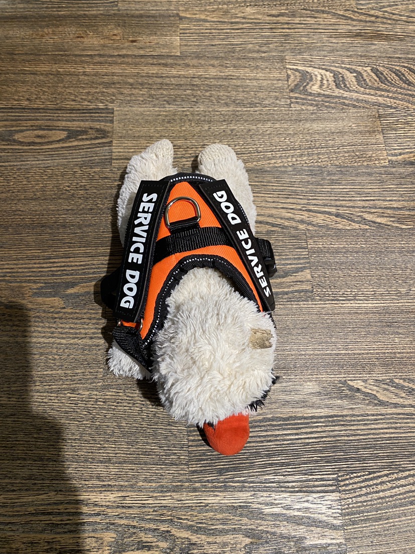 Xsmall dog harness. New thumbnail