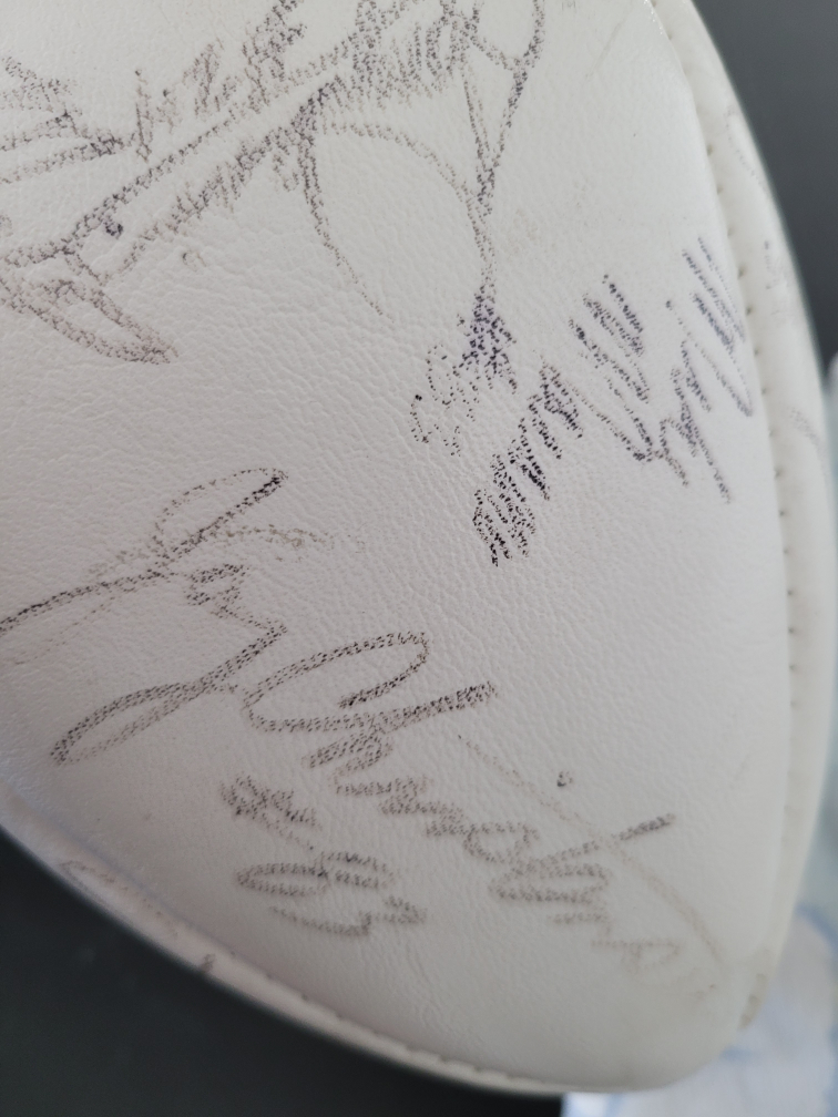 bc loins gray cup signed by all players - photo 5
