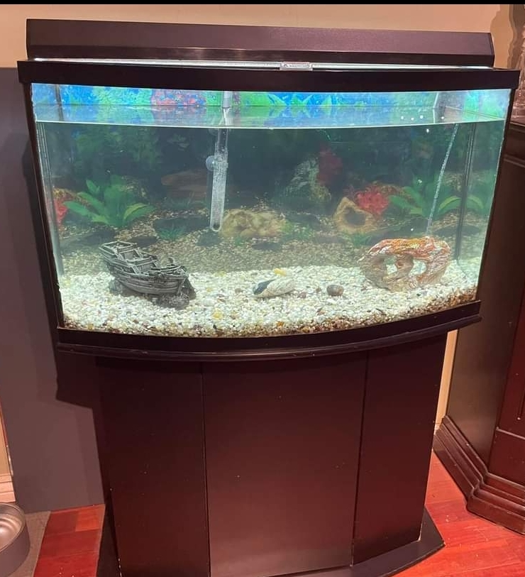 46 GALLON AQUARIUM + STAND - photo 2