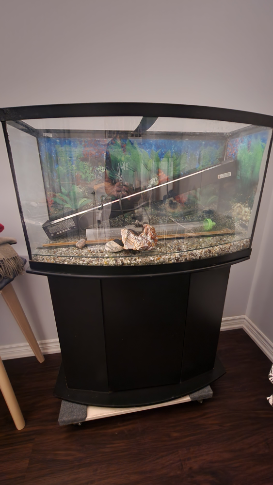 46 GALLON AQUARIUM + STAND - photo 3