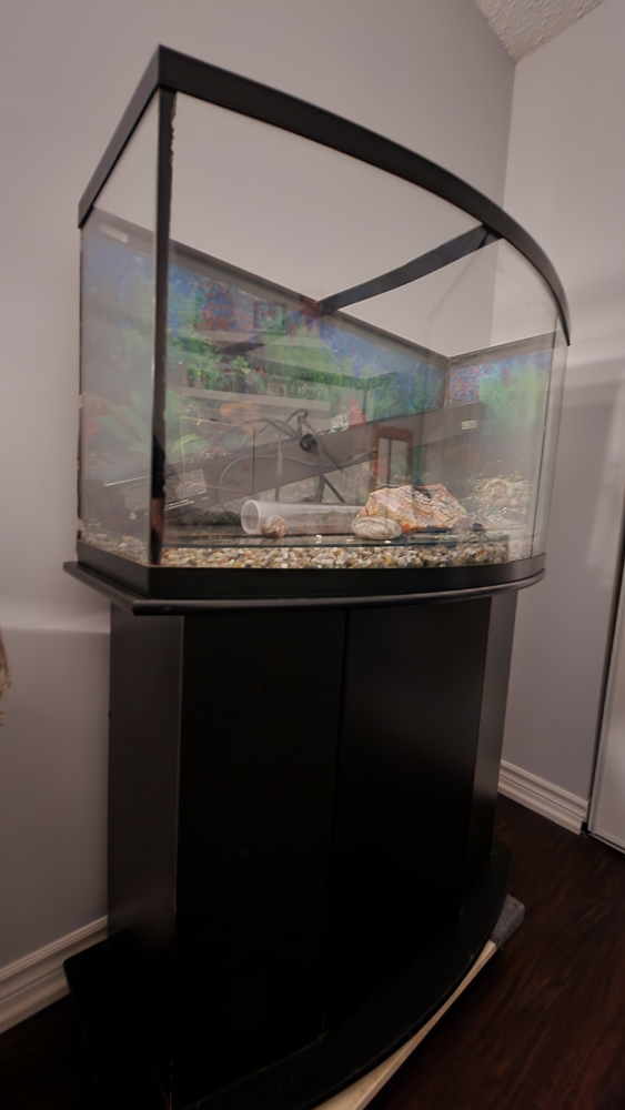46 GALLON AQUARIUM + STAND - photo 4