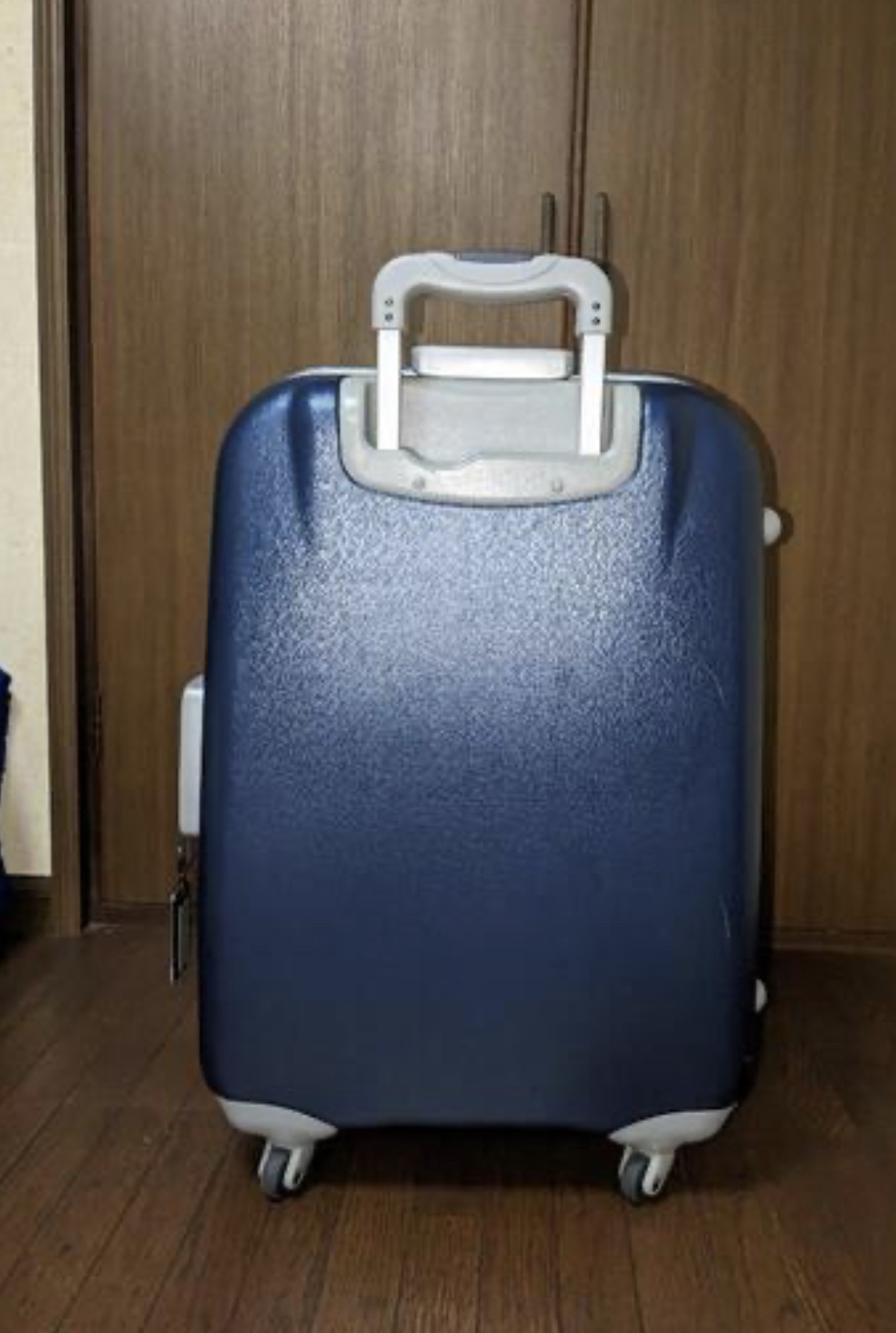 suitcase/ checked luggage