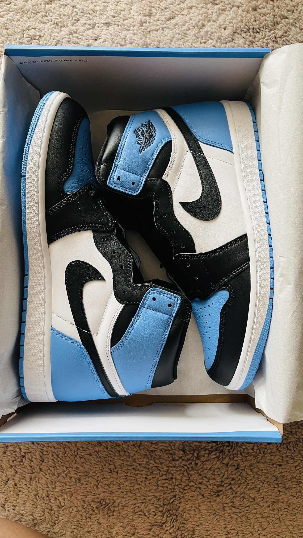Air Jordan 1 Retro High OG UNC Toe