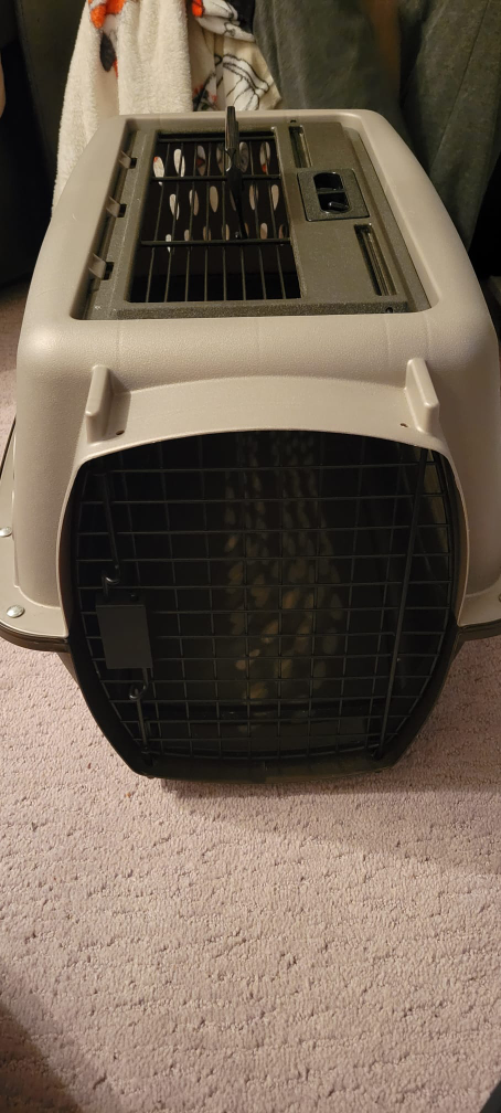 Pet Travel Carrier