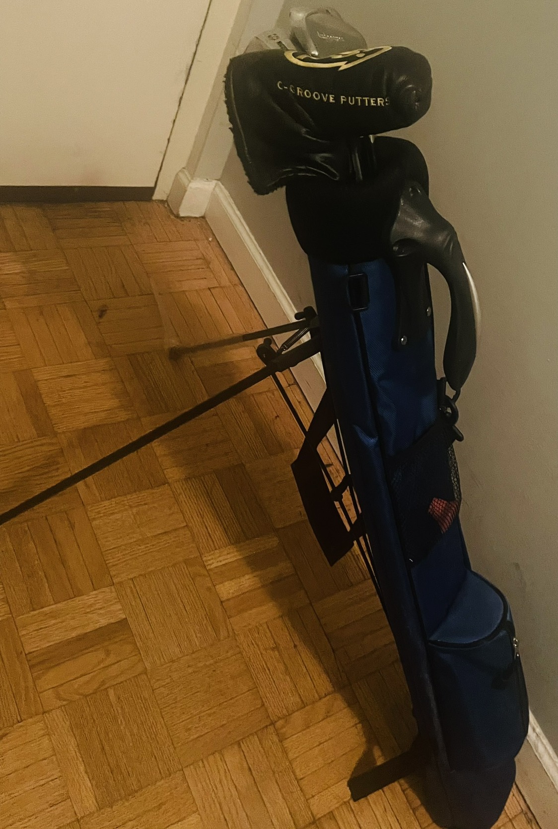 Golf Caddie bag w stand n shoulder strap thumbnail
