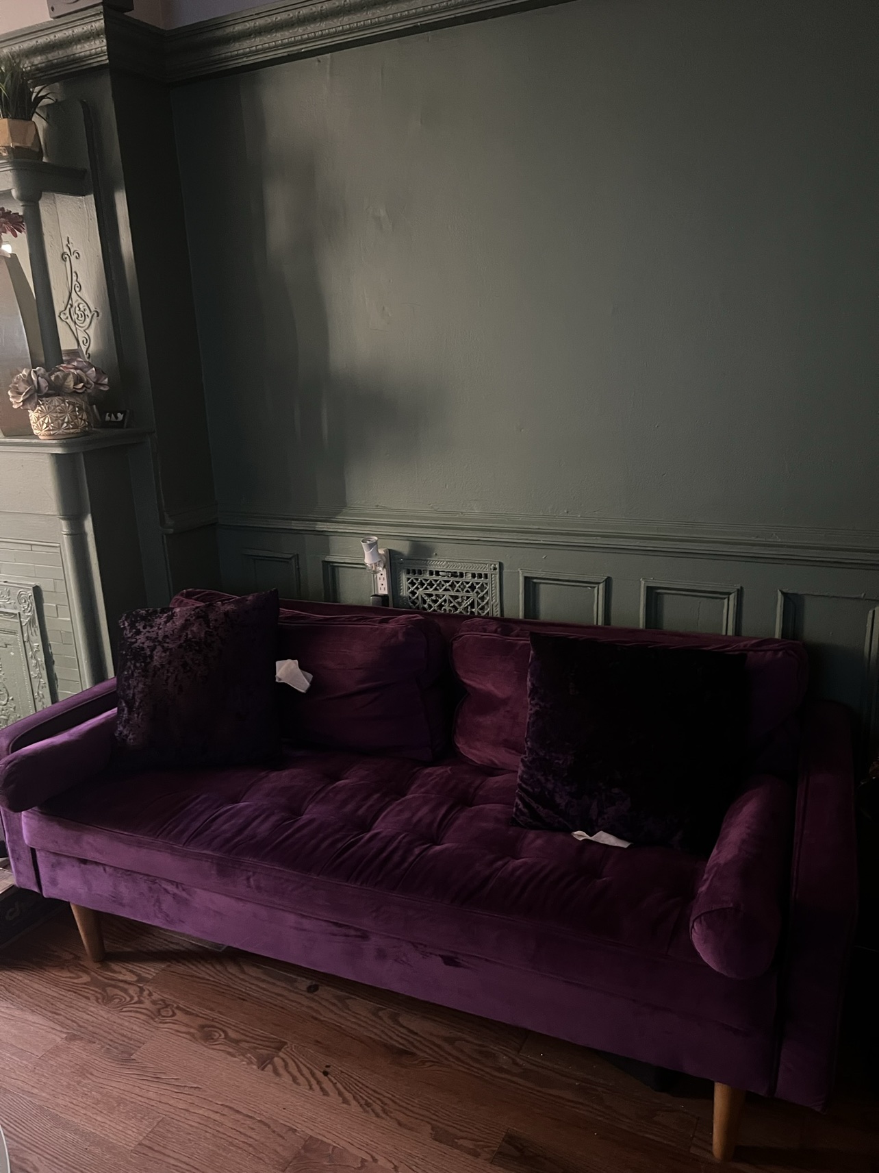 Beautiful Velvet Couch - photo 3