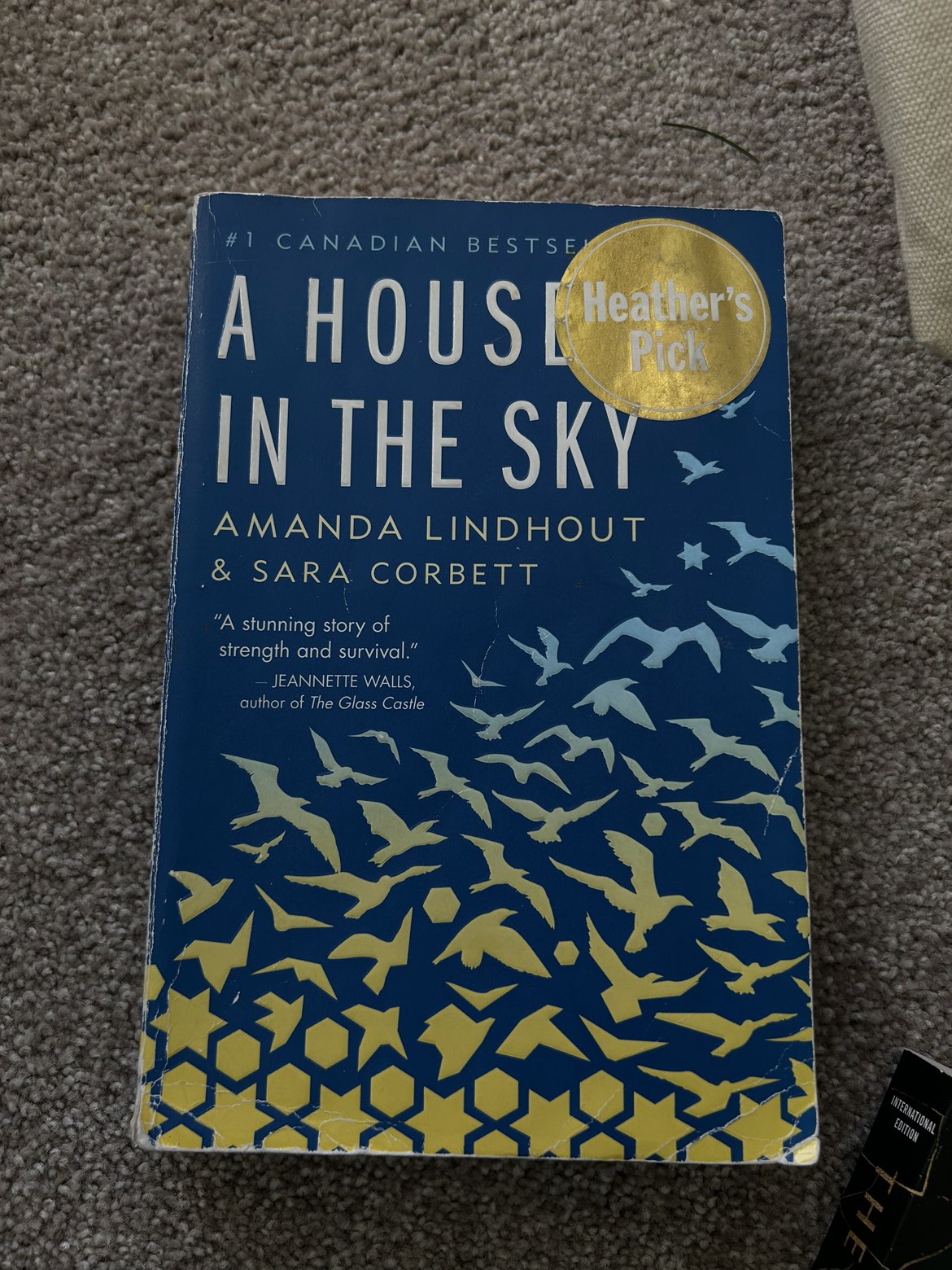 A House in the Sky book
