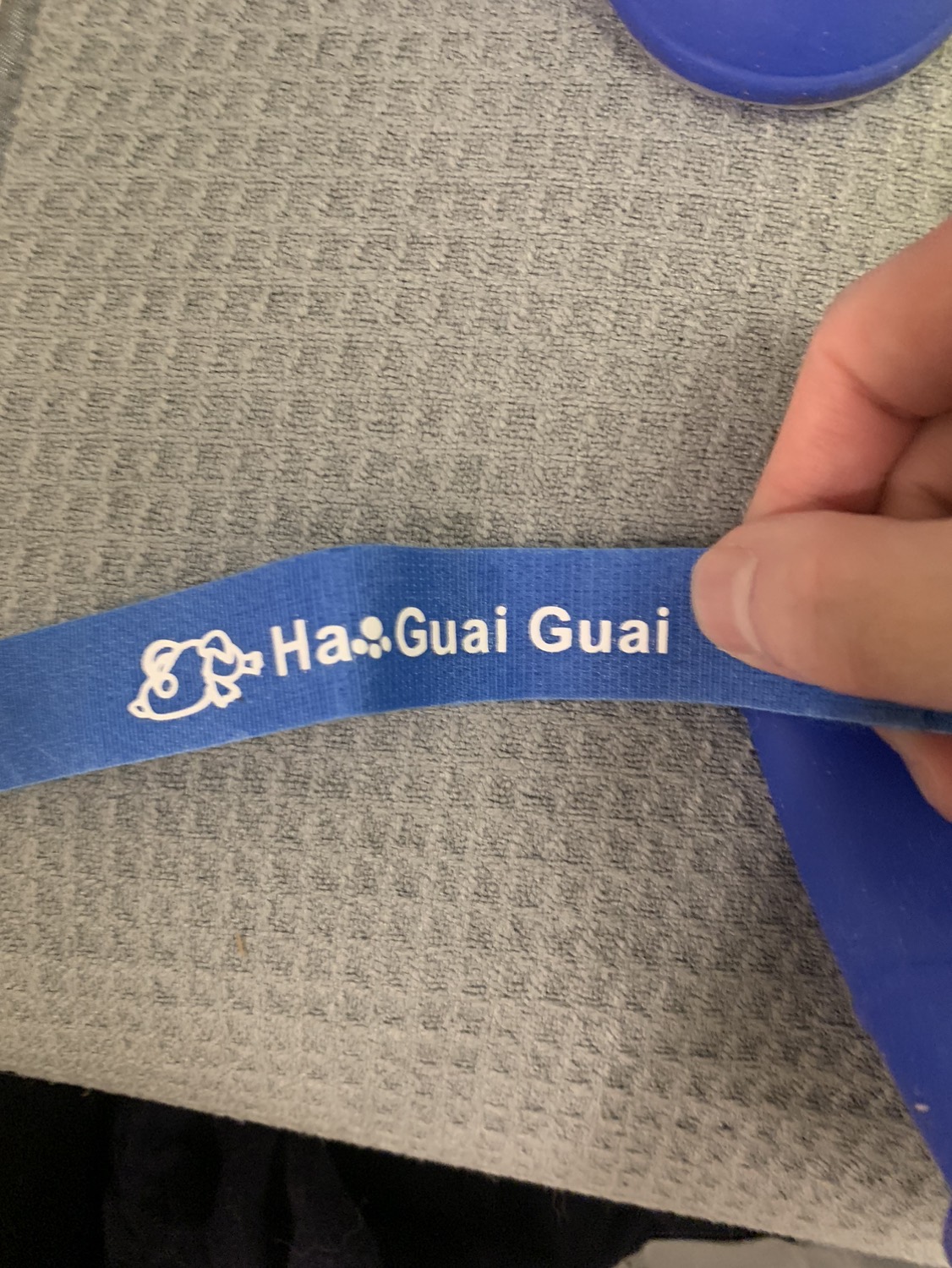 #freecycle Dog rain shoes Blue 💝 image indicator(3)