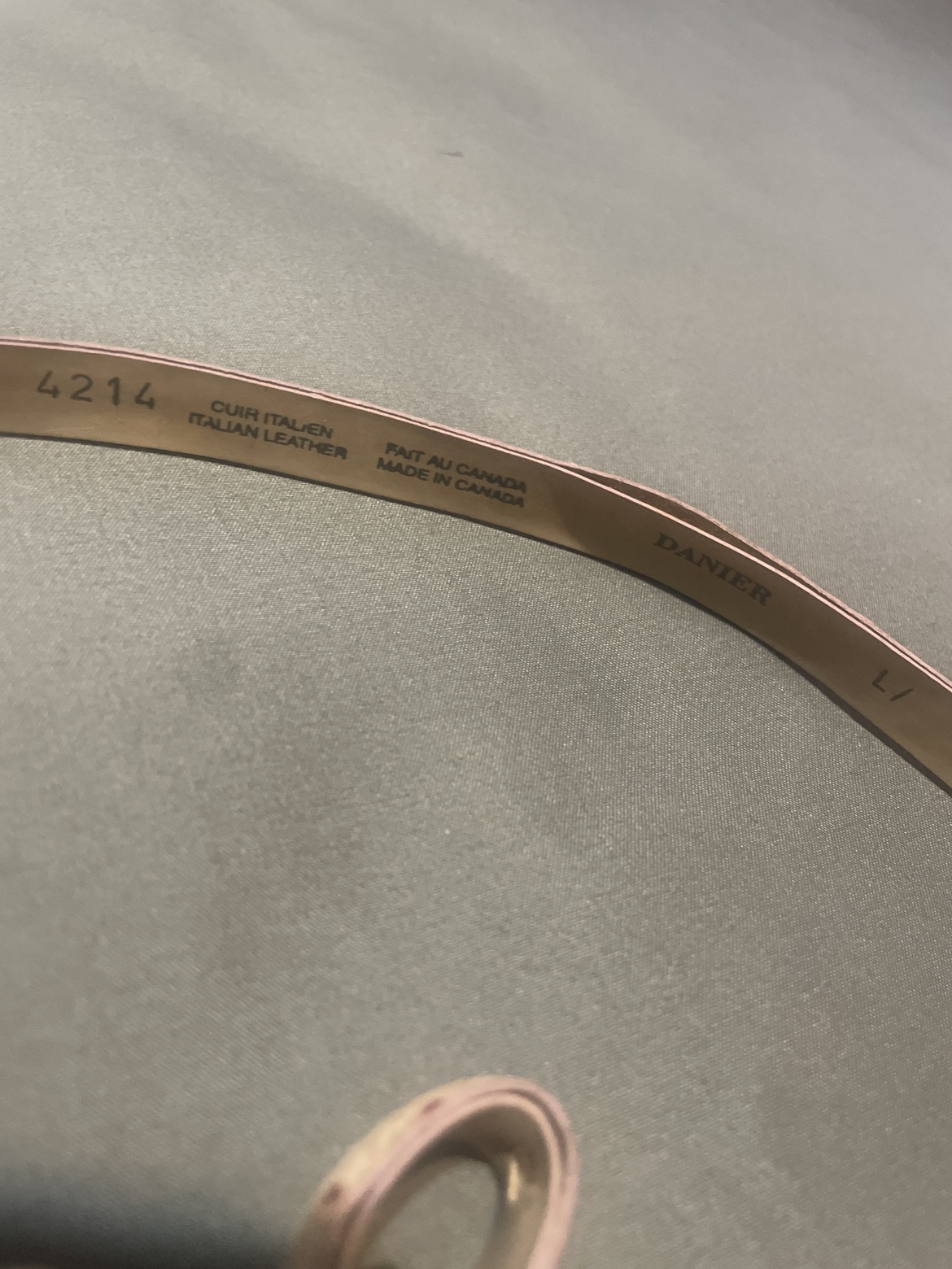 Danier leather belt image indicator(2)