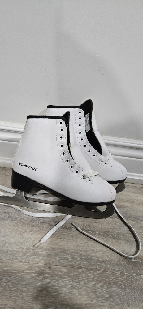 ice skates ⛸️