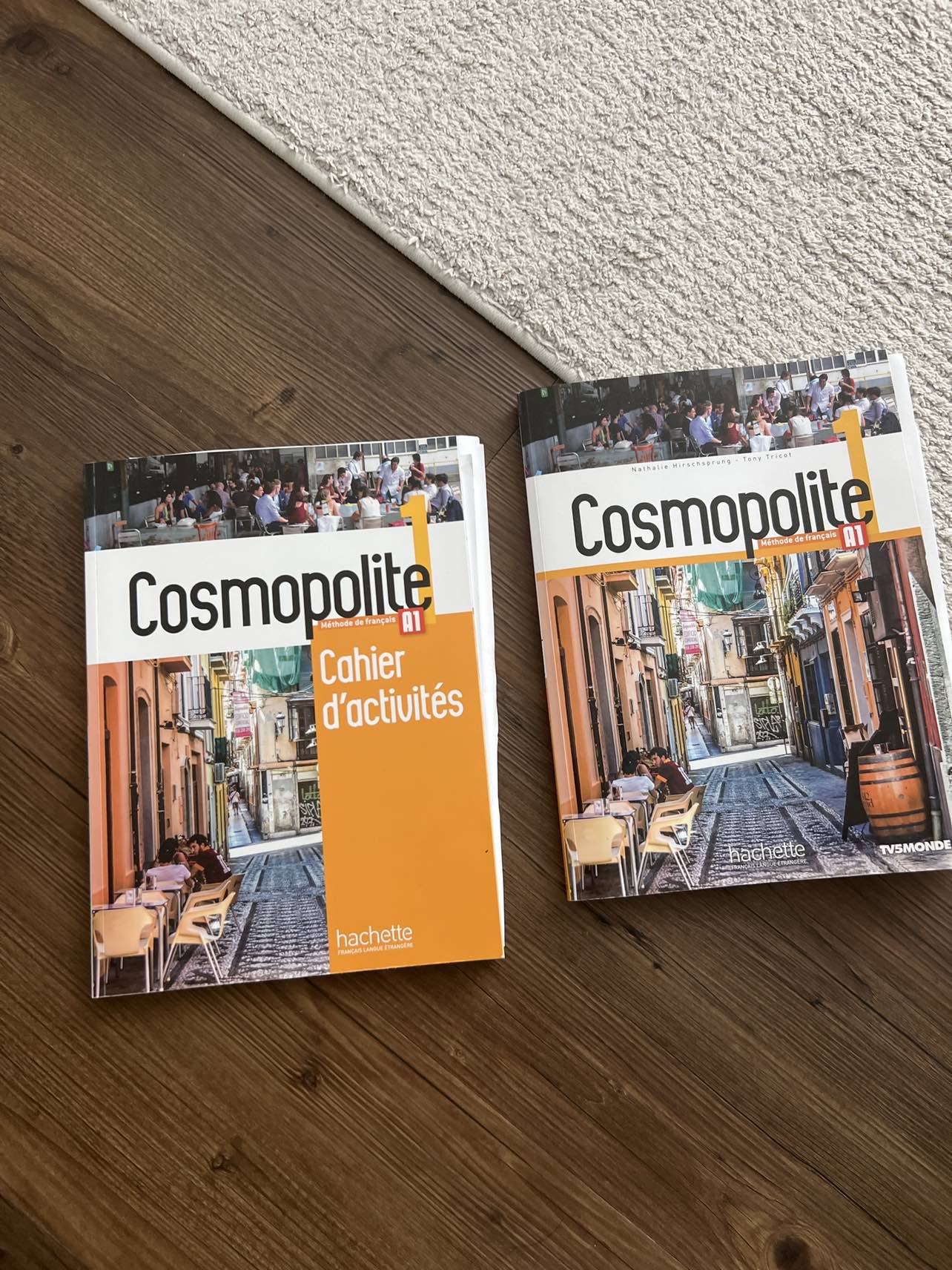 French A1 course book thumbnail