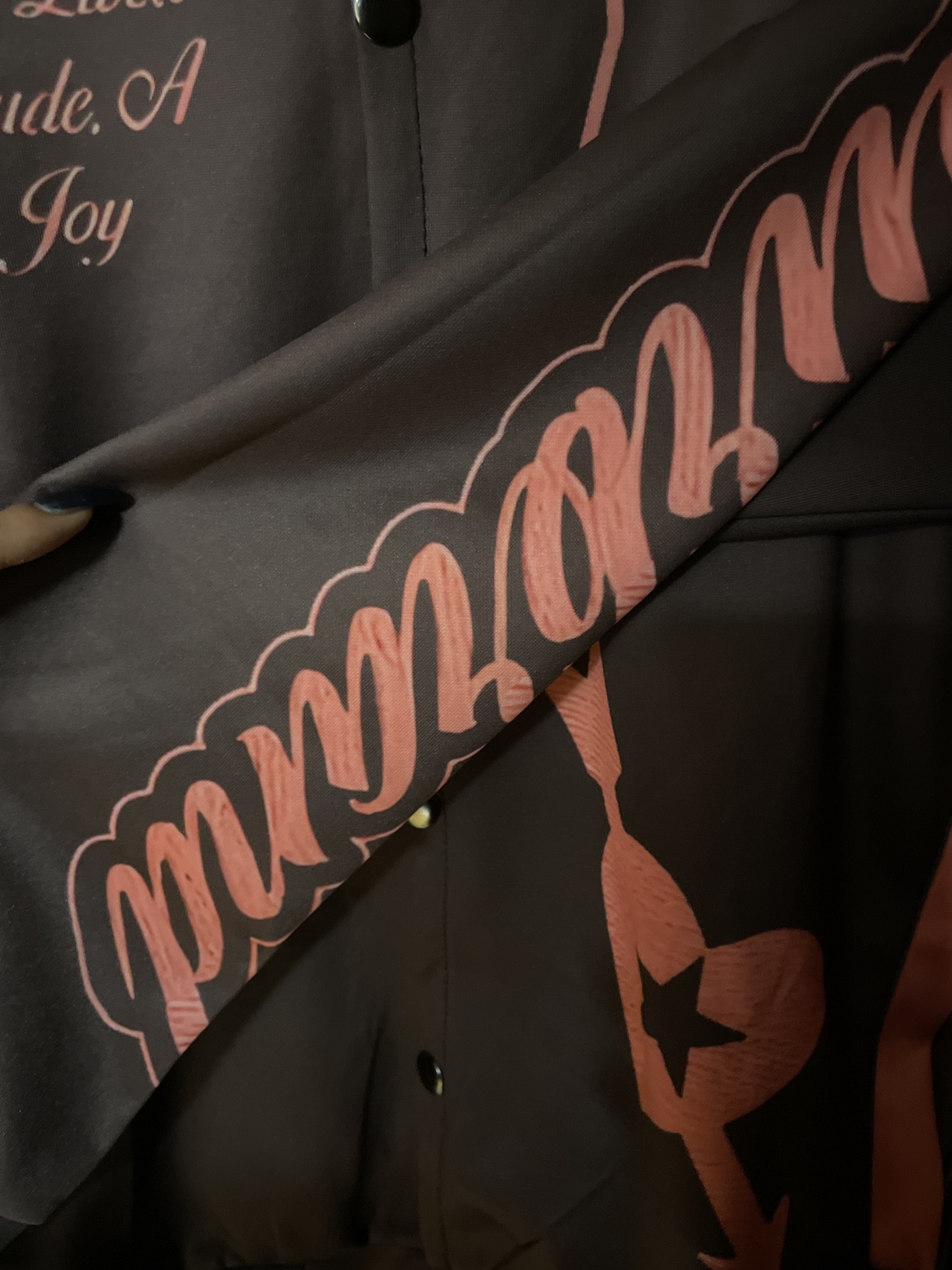 Brown Jacket Cherries and Stars Varsity Jacket - photo 4