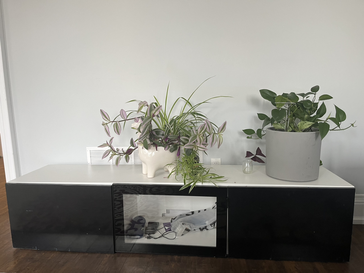 IKEA TV Stand (with storage)