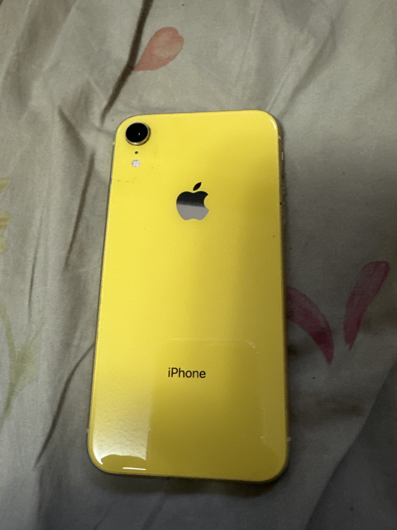 iPhone XR - photo 2