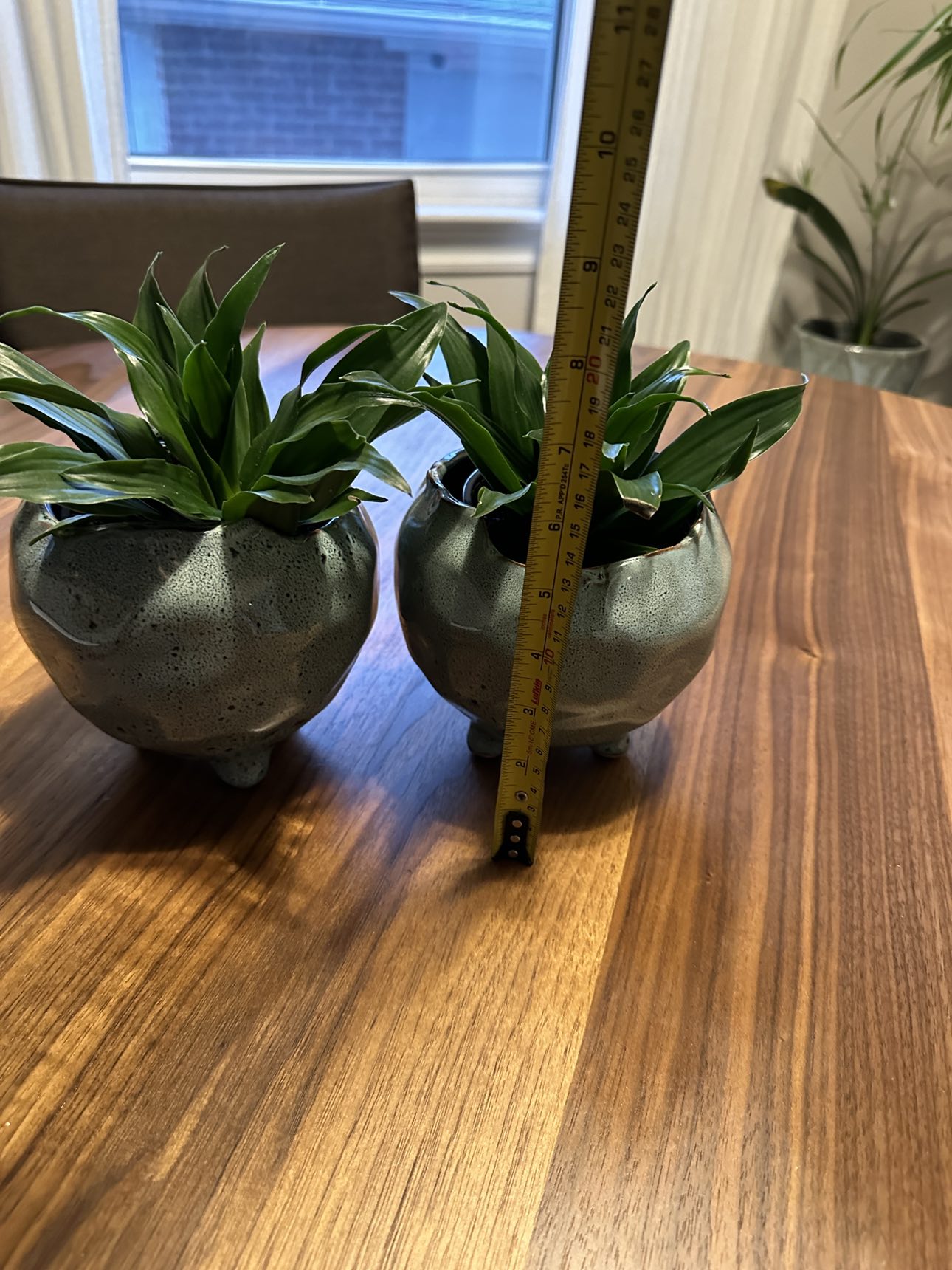2 decor planters with 2 healthy live plants included - photo 3