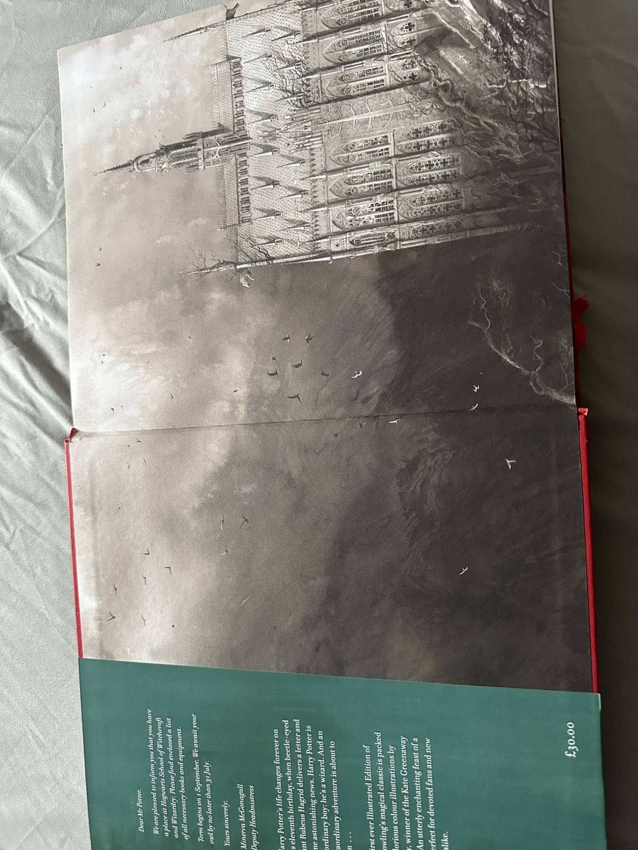 Harry Potter & the Philosopher’s Stone Illustrated Collector Ed. - photo 3