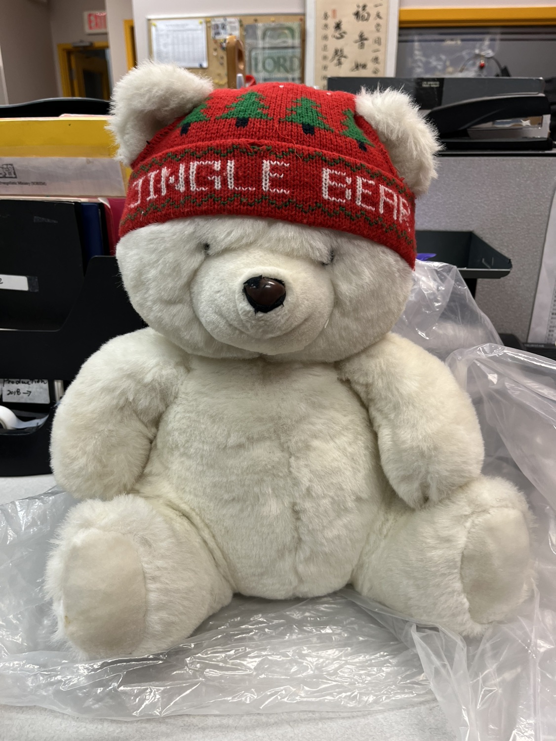 Teddy bear with hat