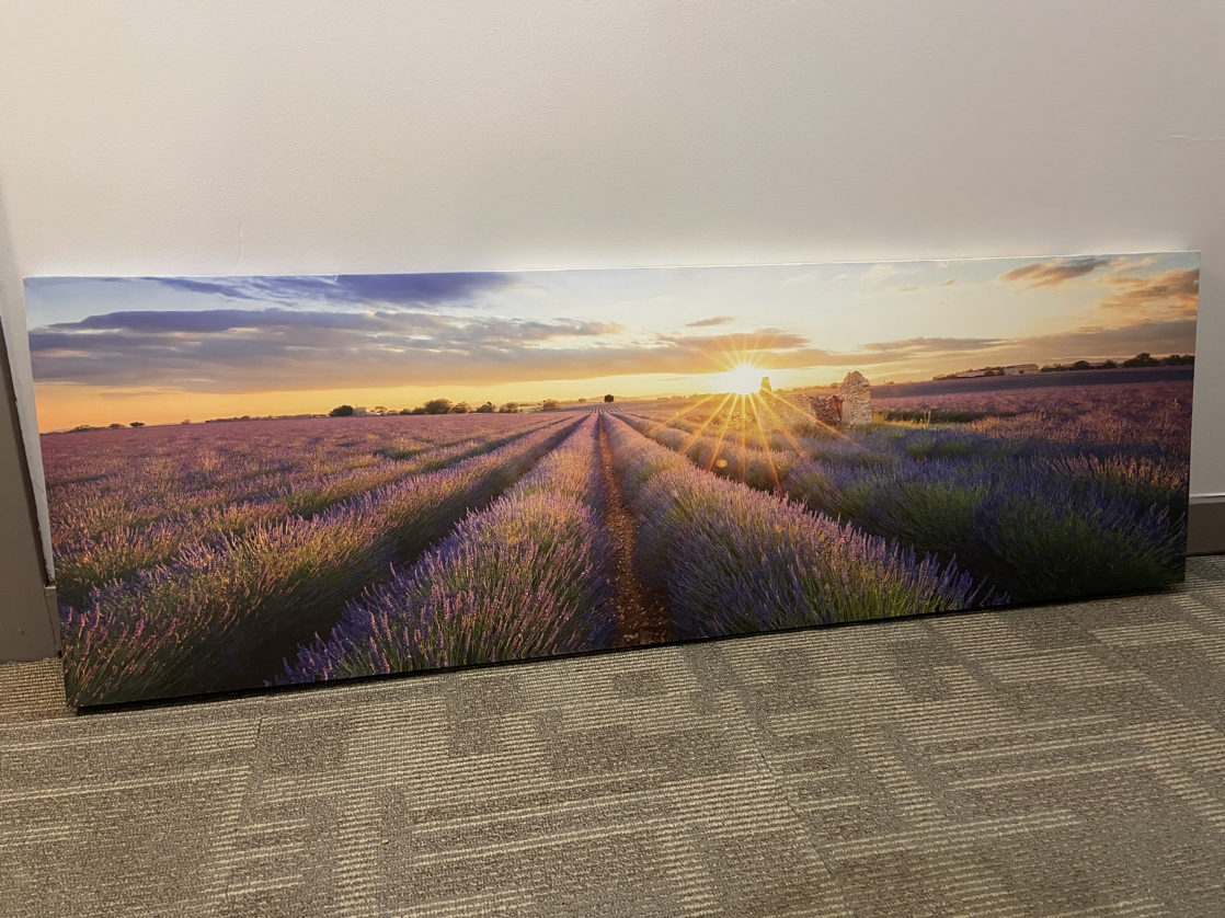 Canvas Print