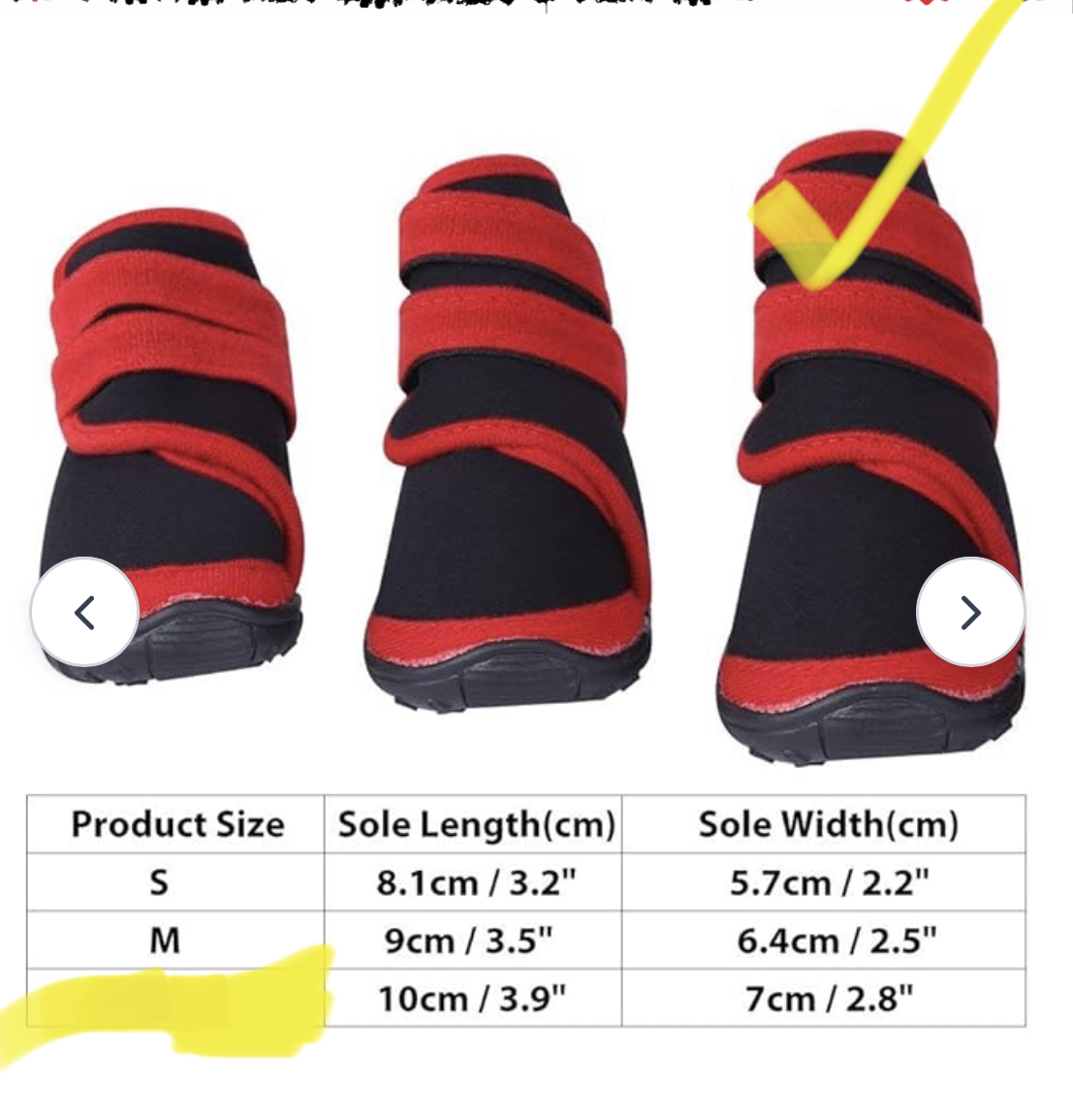 Dog booties image indicator(3)