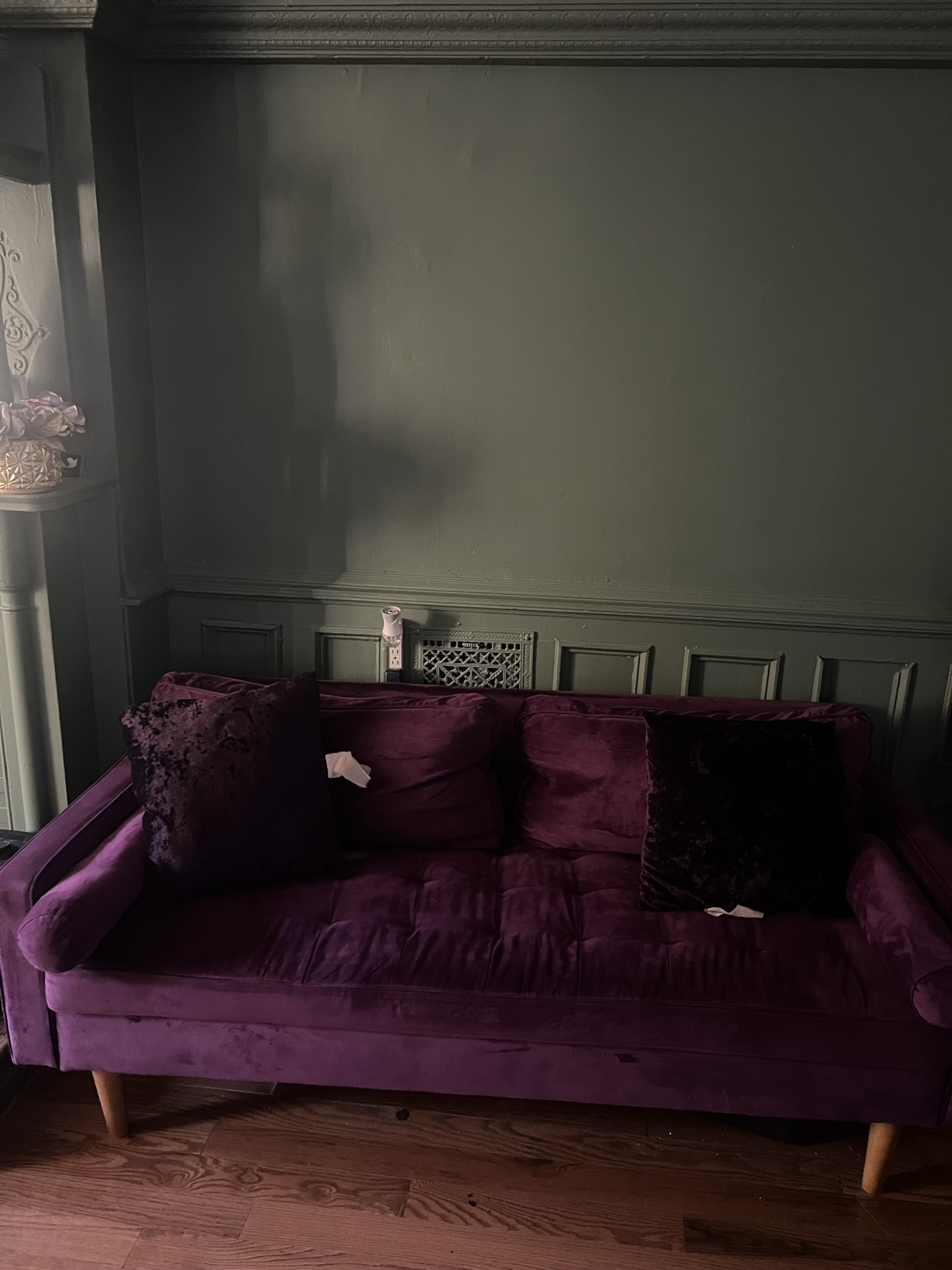 Beautiful Velvet Couch - photo 4
