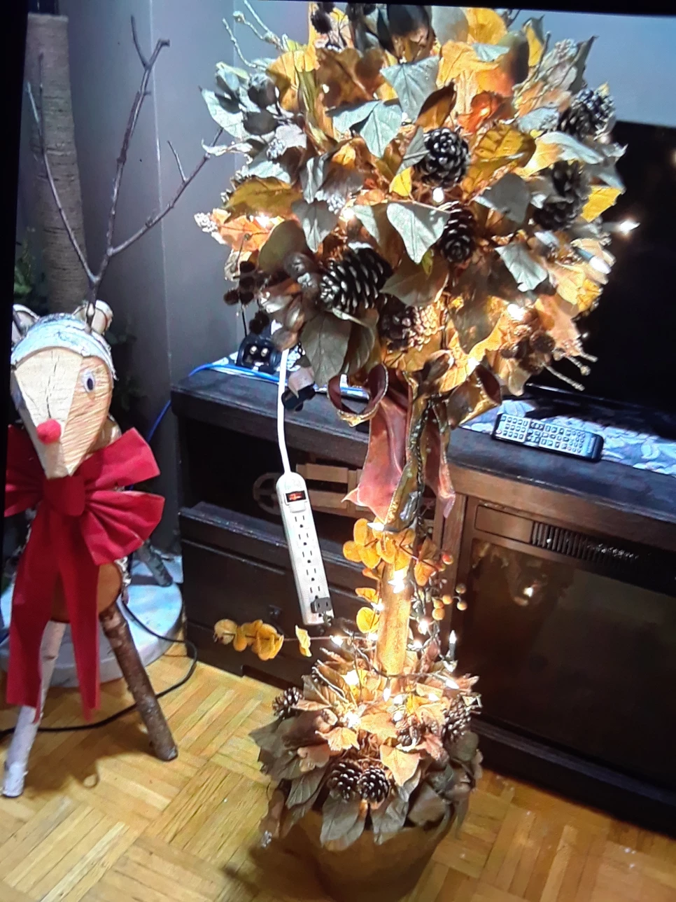 nice chrismas plant thumbnail