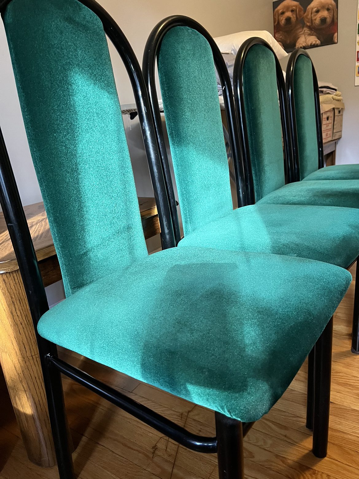 Velvet chairs thumbnail
