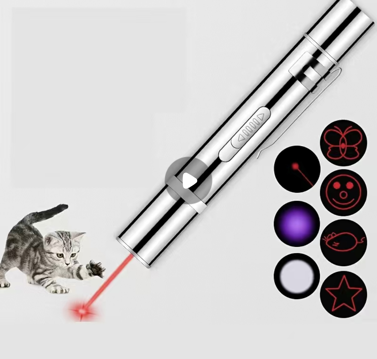 Cat laser #freecycle