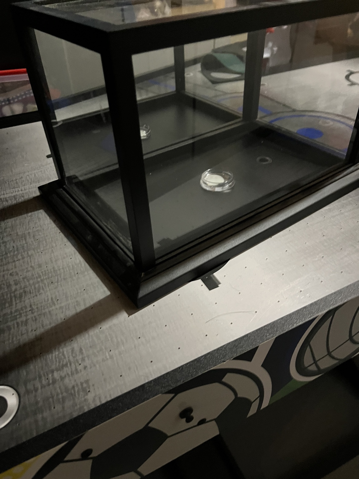 Display case