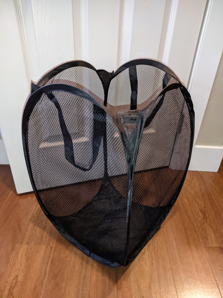 #Freecycle 🎁 collapsible clothes basket thumbnail