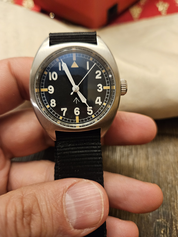 W10 Field Watch thumbnail