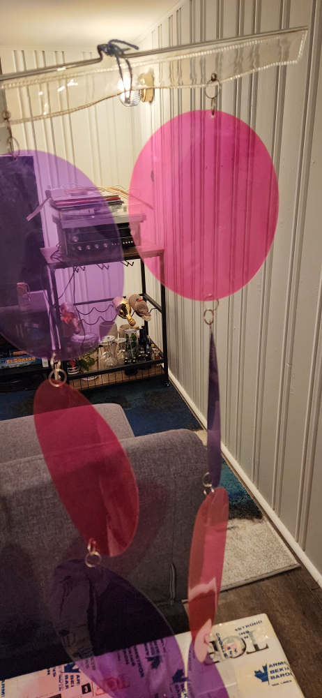 Hanging curtain/photo wall