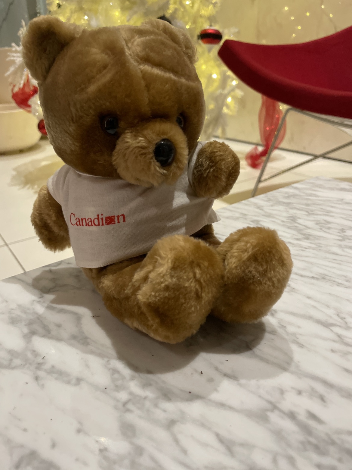 Canadian bear reaching out to you #freecycle thumbnail