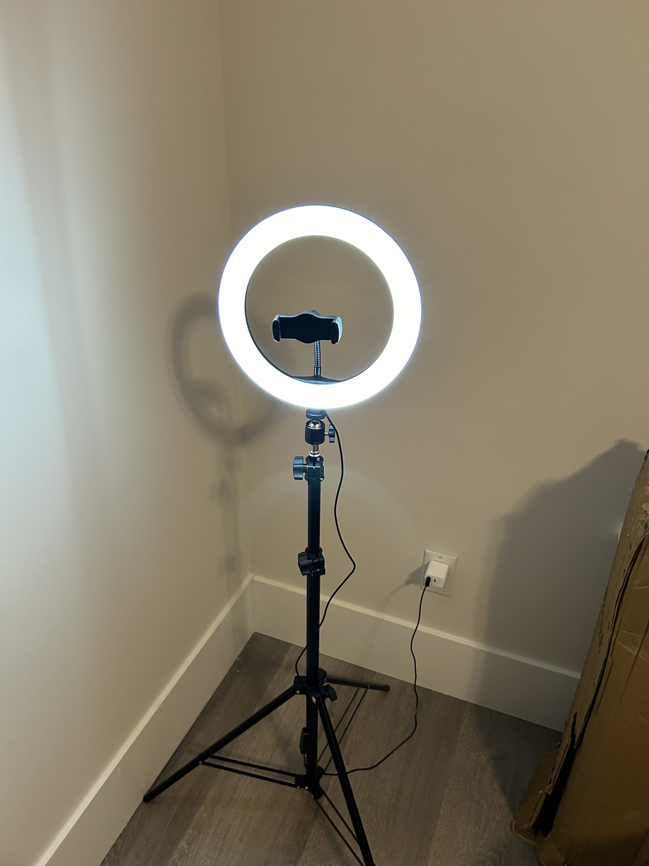 10 inches Ring light with tripod stand