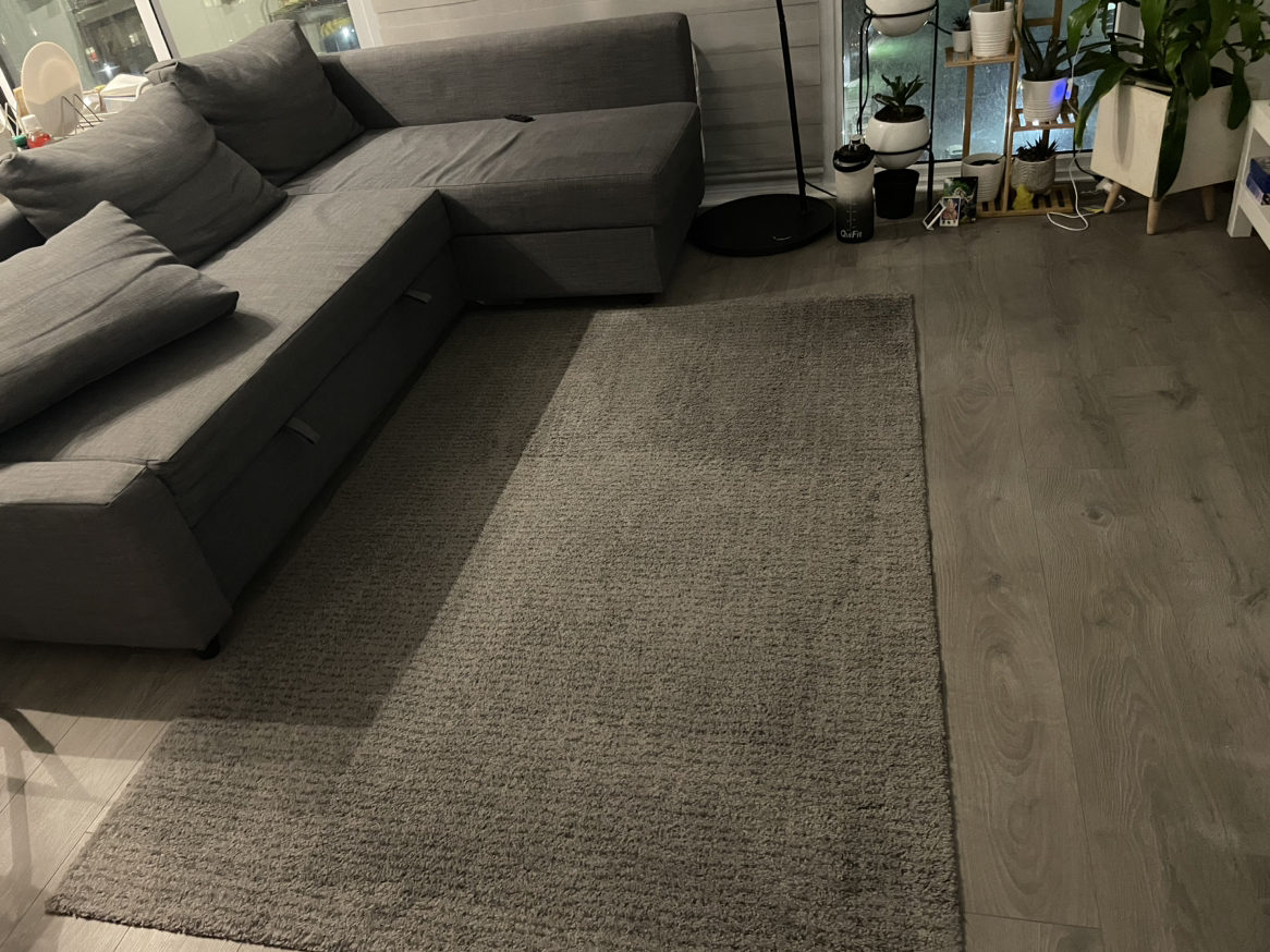 IKEA area rugs - LANGSTED image indicator(5)